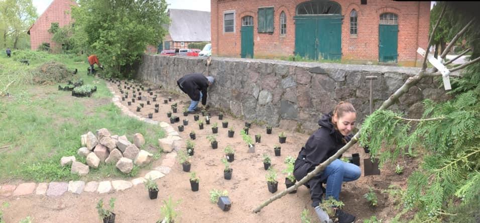 1w gartenbau