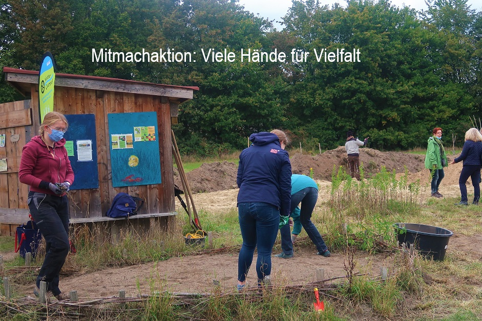 2020 09 26 mitmachaktion firedensgarten vorbereitung flaechen text.jpgp018282056