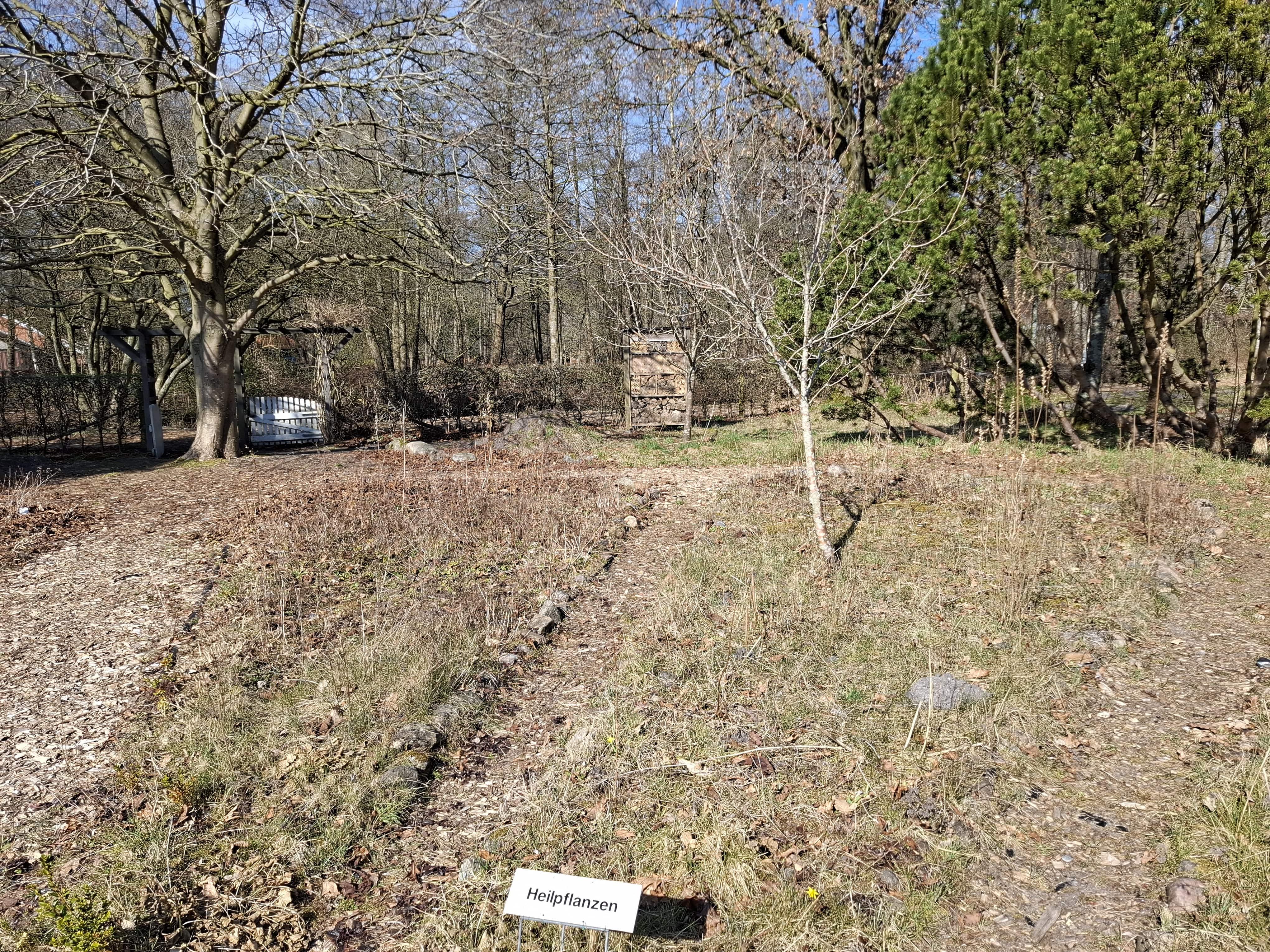 20250320 134624 min