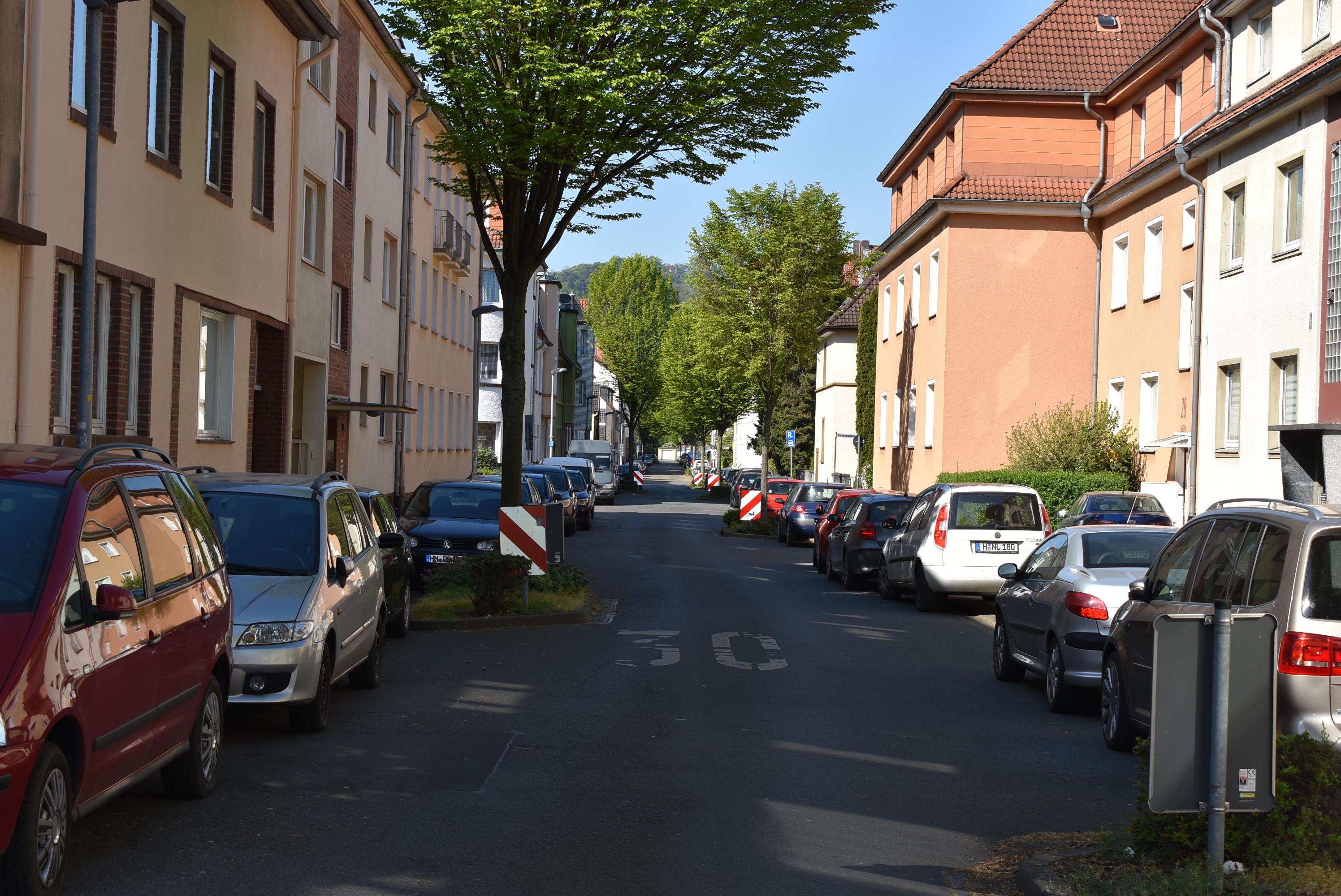 dsc 0017