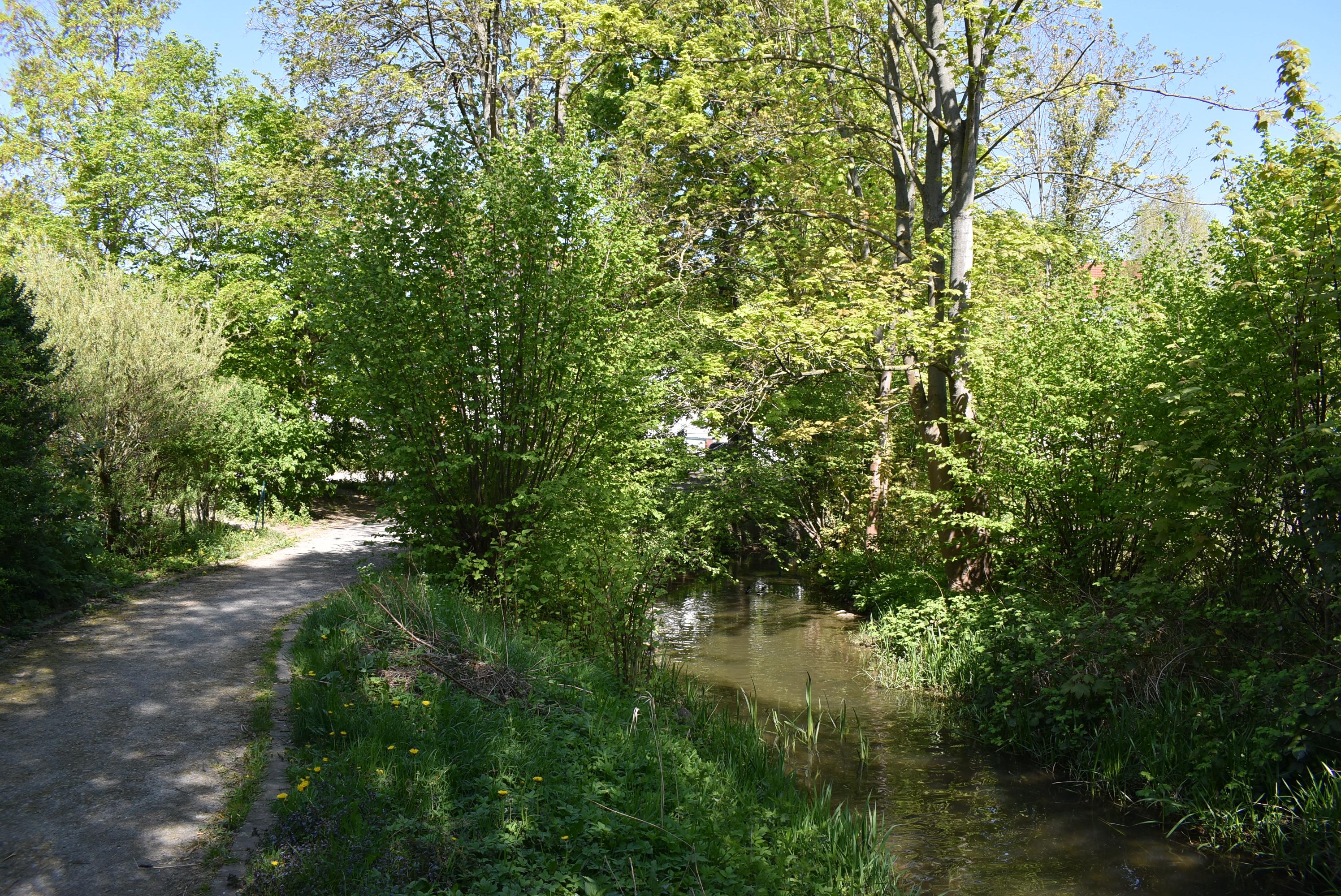 dsc 0040