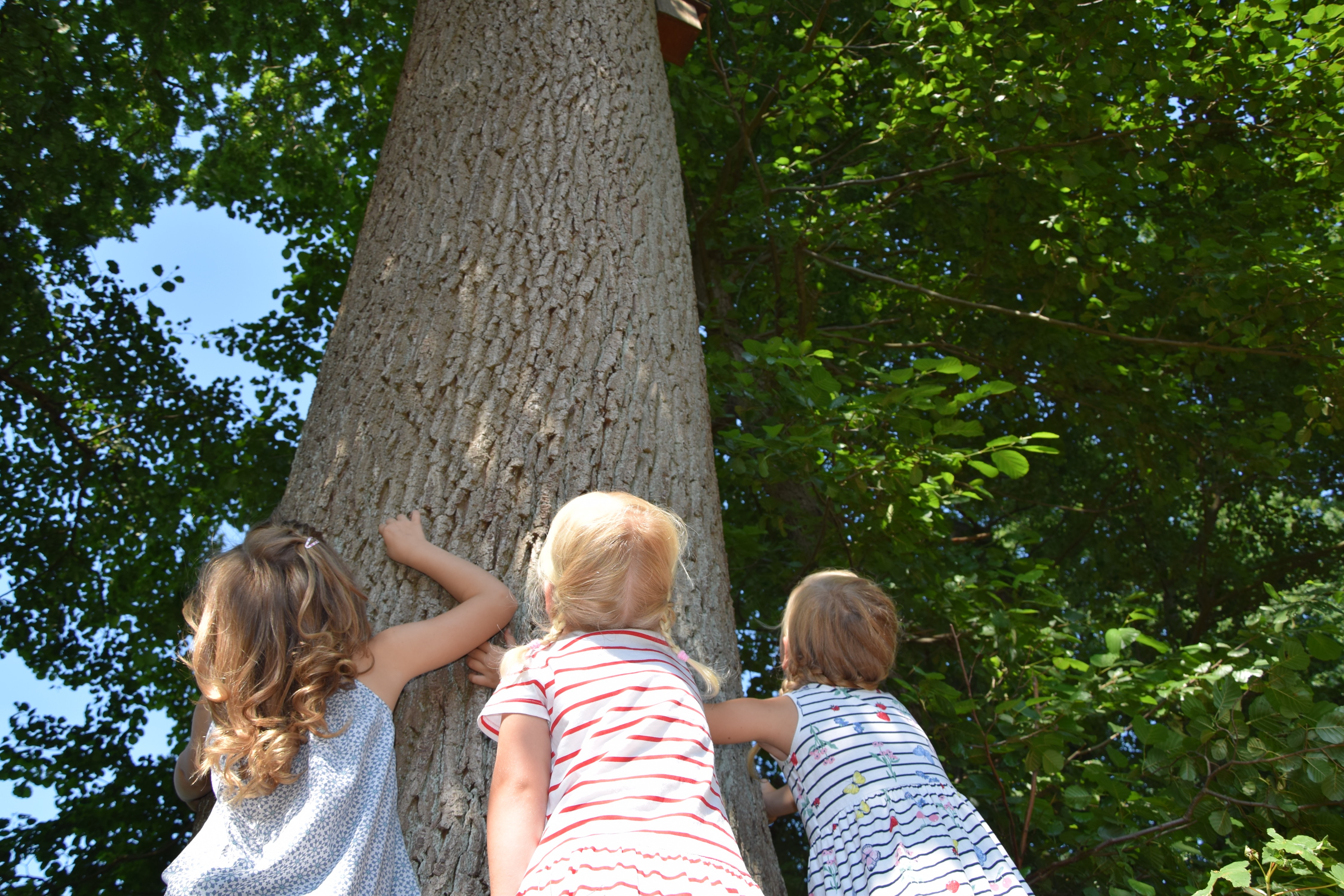 dsc 0478