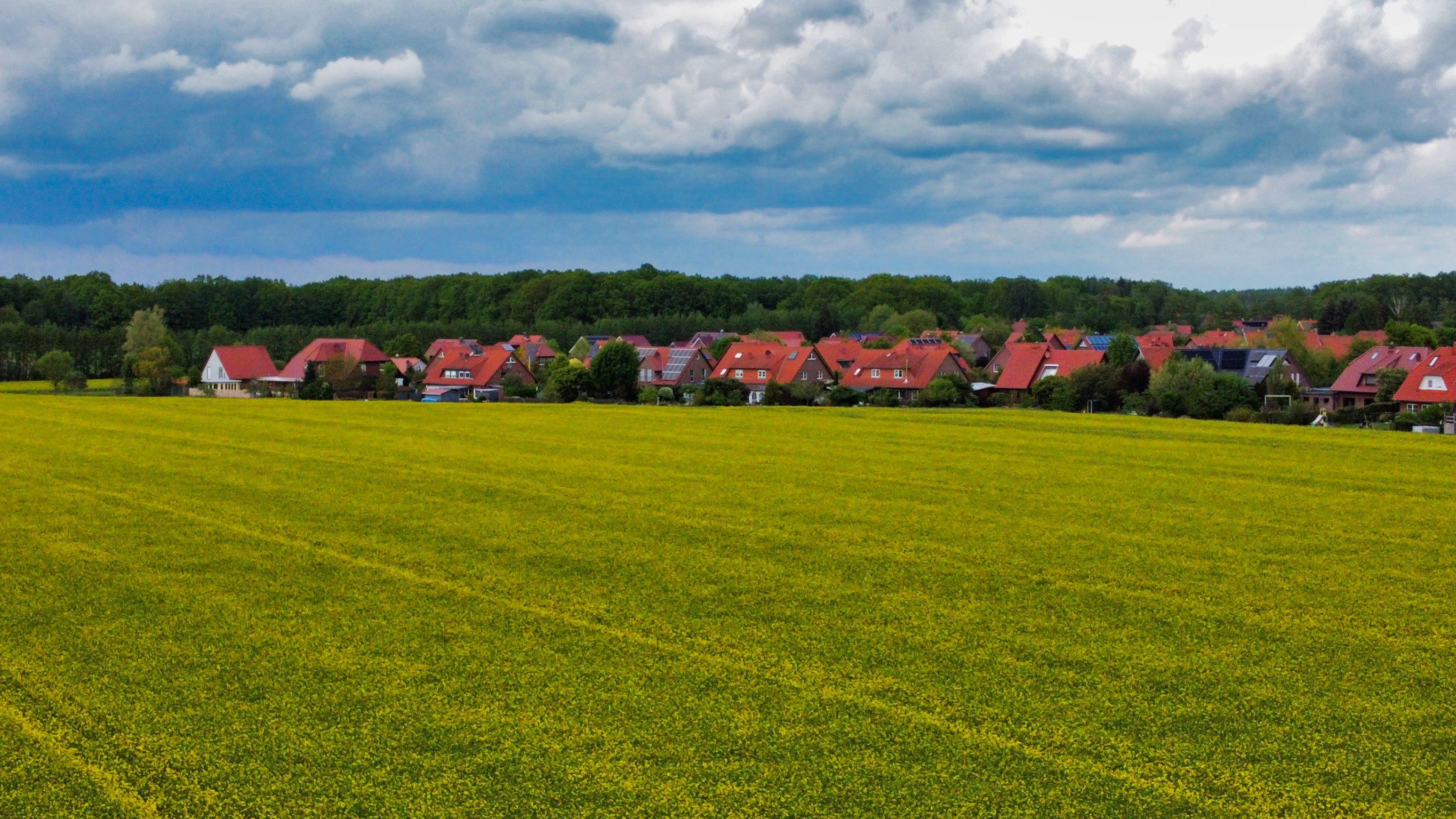 feld