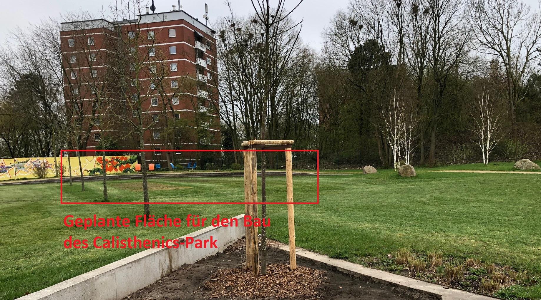 flaeche calisthenics park