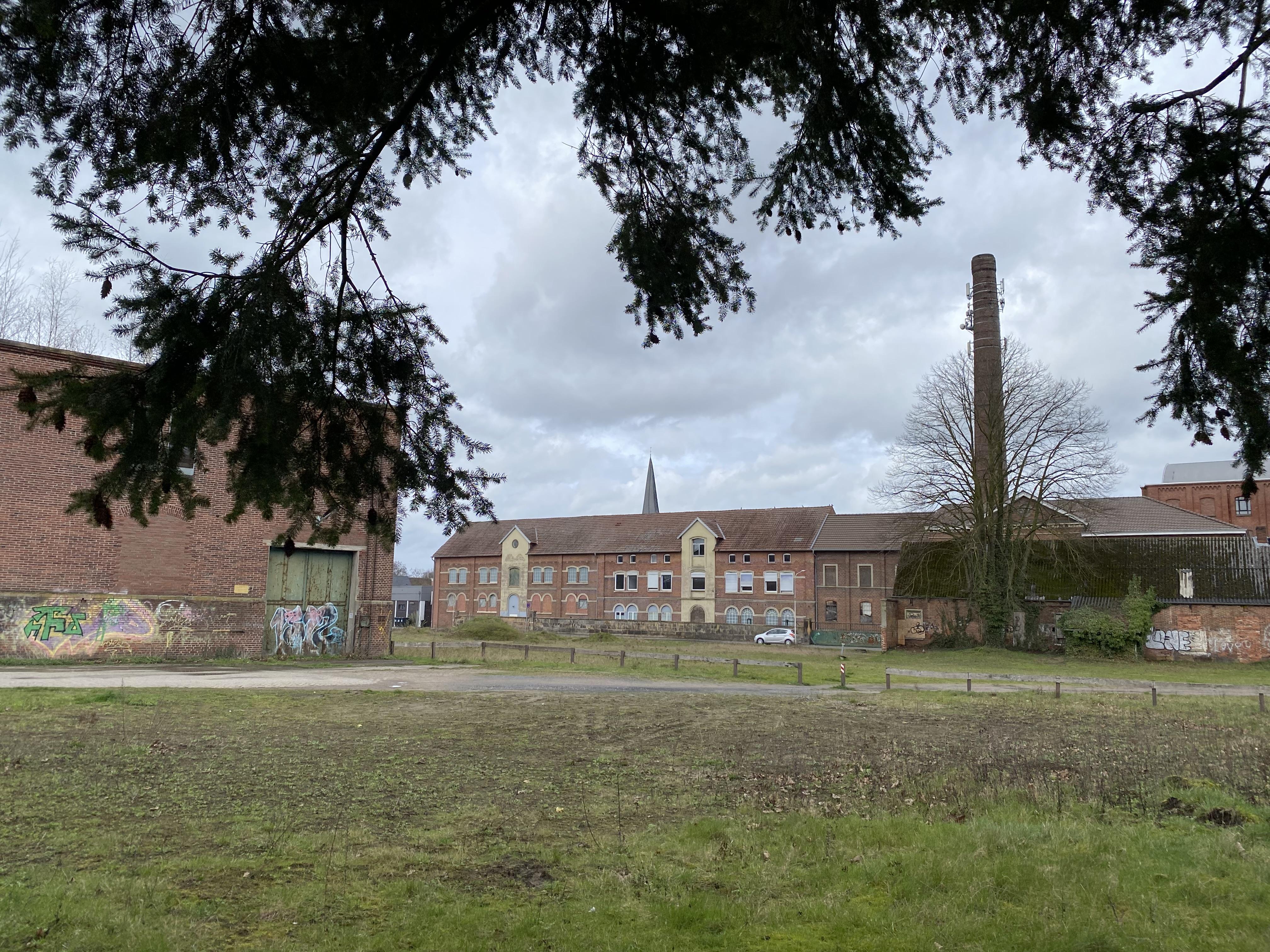freiflaeche begruenung wald
