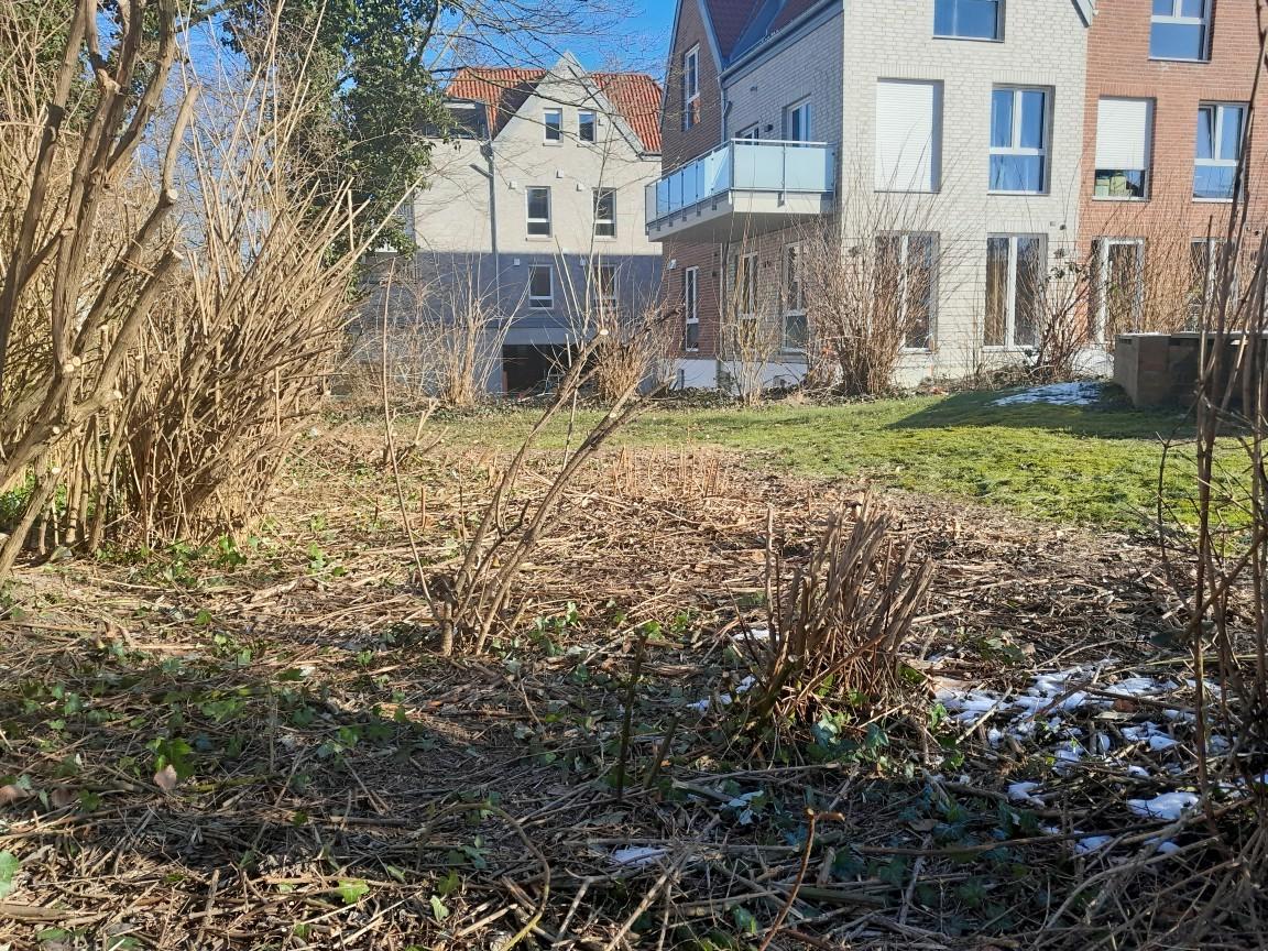 gemeinsam vielfalt pflanzen 1