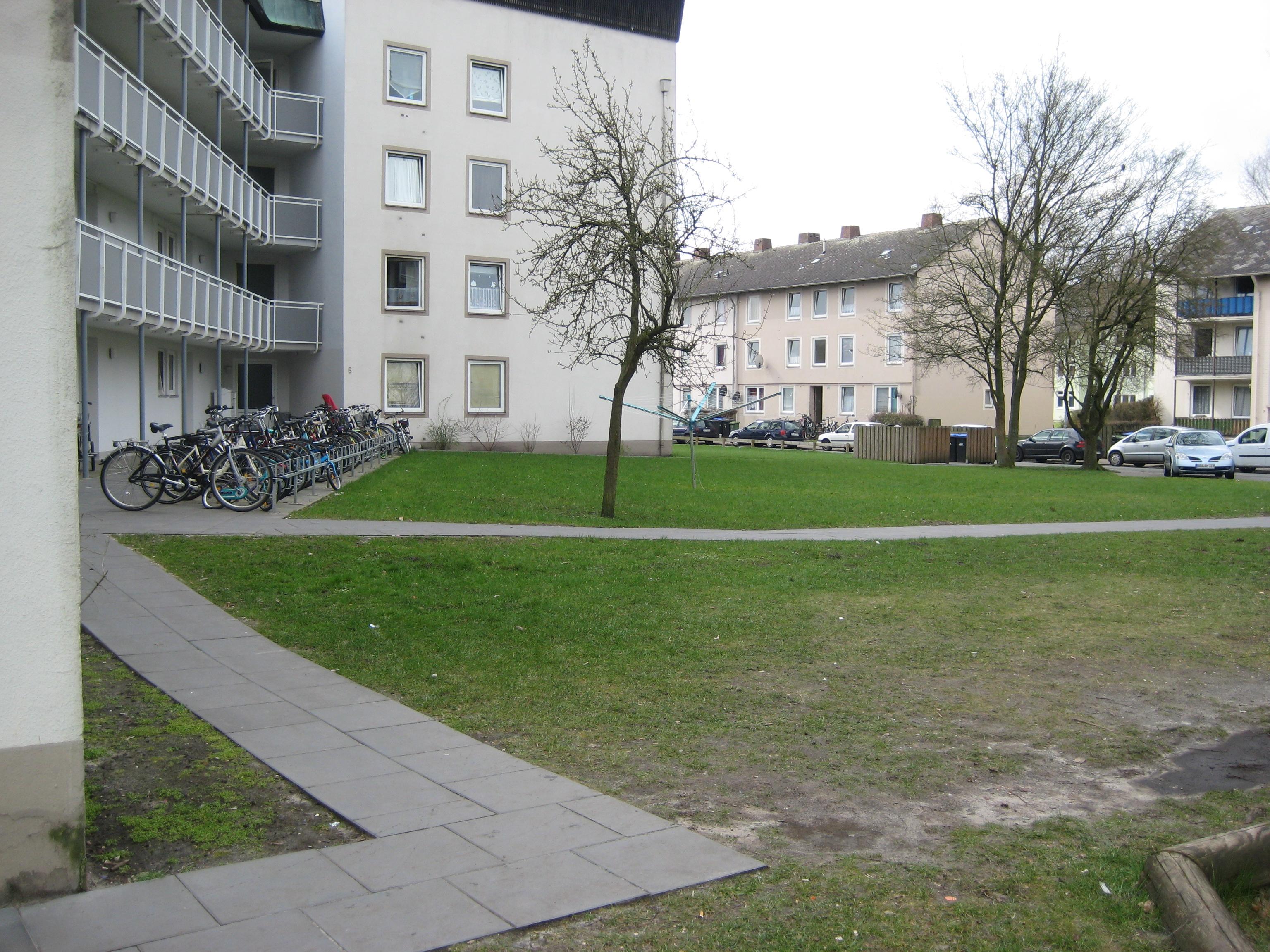 img 3746
