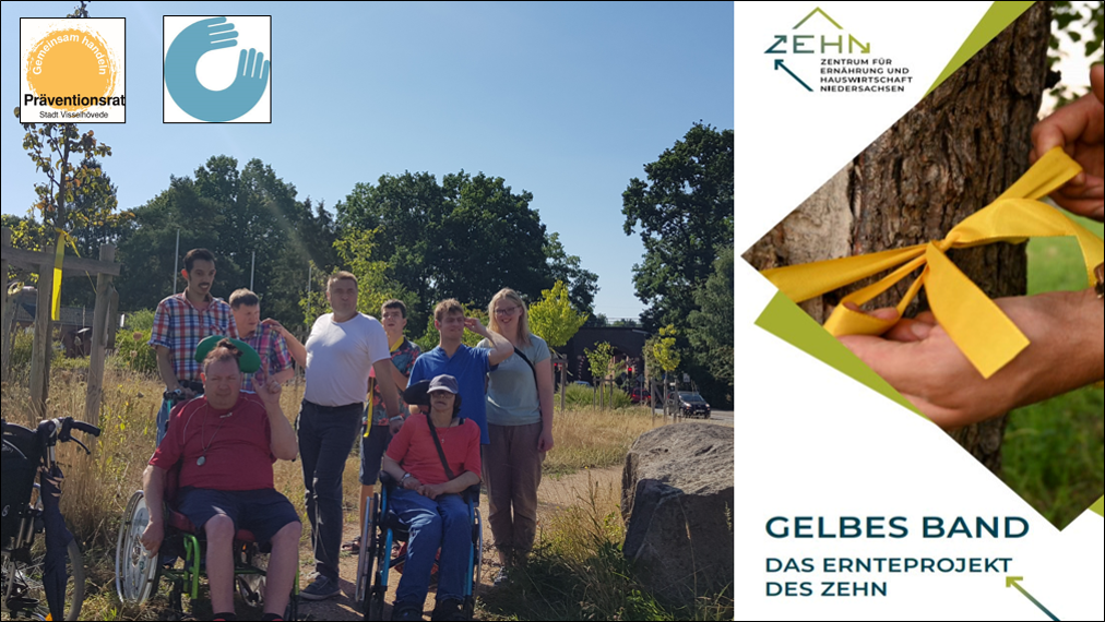 projekt gelbes band