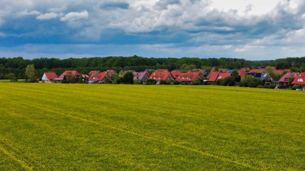 feld