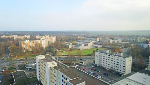 heidberg 1