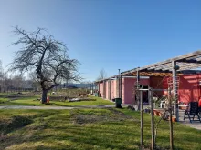 2022 03 awo braunschweig garten ohne grenzen 2