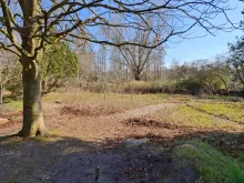 20250320 134437