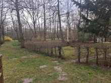20250325 143938