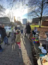 blumenpflanzen mit kids