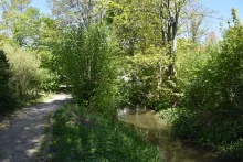 dsc 0040