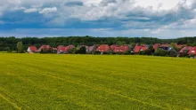 feld