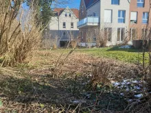 gemeinsam vielfalt pflanzen 1