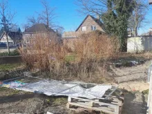 gemeinsam vielfalt pflanzen 2