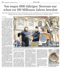 hiaz ammonshorn2