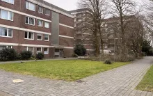 img 0193