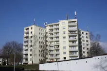 nachbarhasu