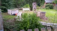 schulgarten