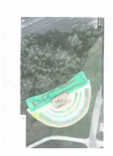 zeichnung sommerbuehne mai 2018